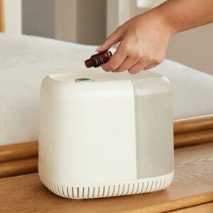 Canopy Bedside Humidifier - Color Cream